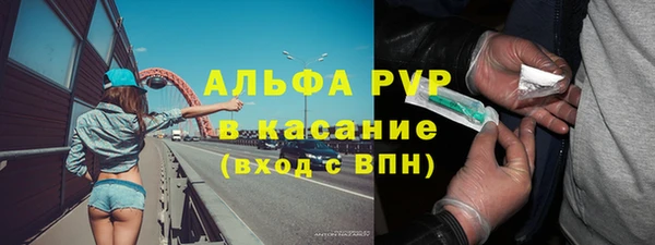 прущие грибы Абдулино