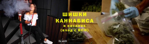 прущие грибы Абдулино
