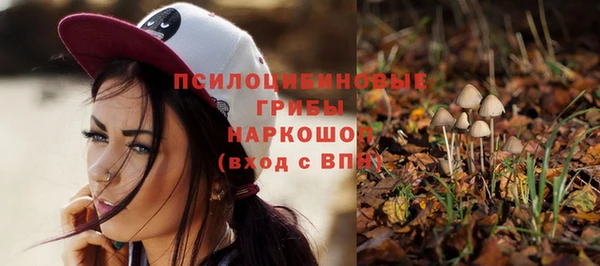 сатива Нея
