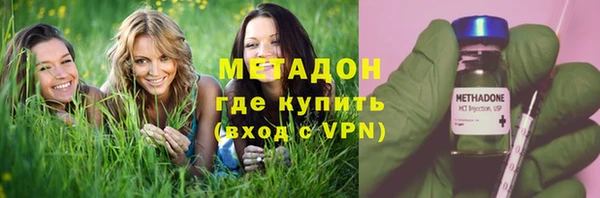 прущие грибы Абдулино