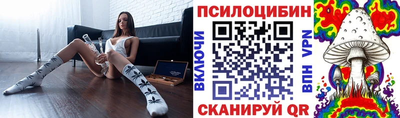 Псилоцибиновые грибы MAGIC MUSHROOMS  Торопец 